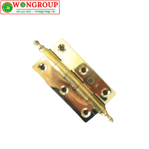 Bản lề lá 750x40x3 đầu tiện, góc mở 340 độ, màu đồng thau