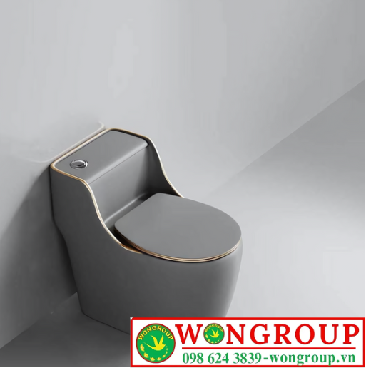 Bồn Cầu 1 Khối Xám Viền Vàng Nút Lệch NV-1013X