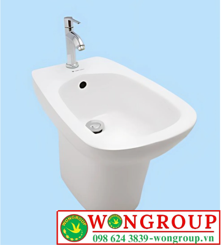 Bồn tiểu nữ WonGroup BD0100T