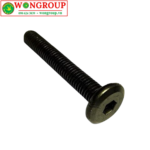 Bulong M8 lục giác chìm, màu đen