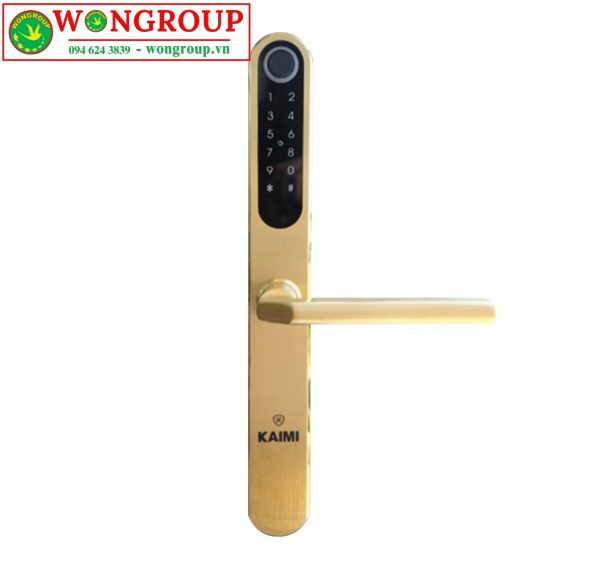 Khóa Cửa Nhôm Thông Minh CN104 Màu Vàng