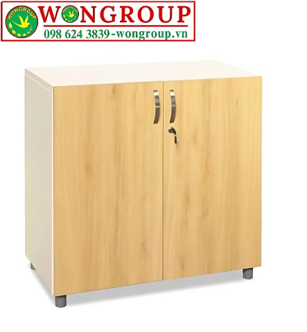 Tủ TSG02-2WG