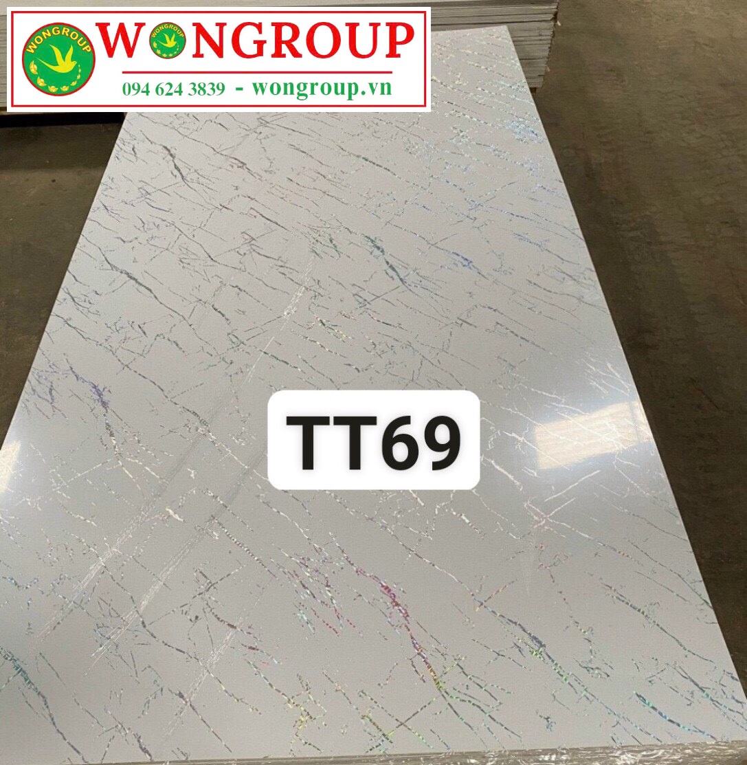 Tấm ốp PVC vân đá TT69