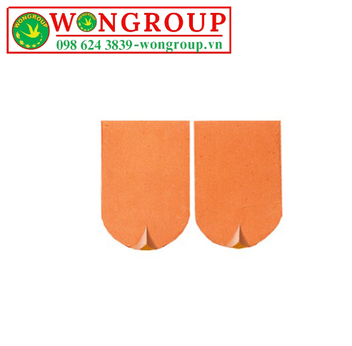 WG NGÓI MŨI HÀI 65