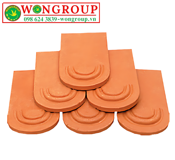 WG NGÓI VẢY RỔNG