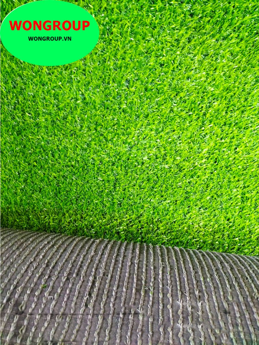 Cỏ sân vườn MV-02T