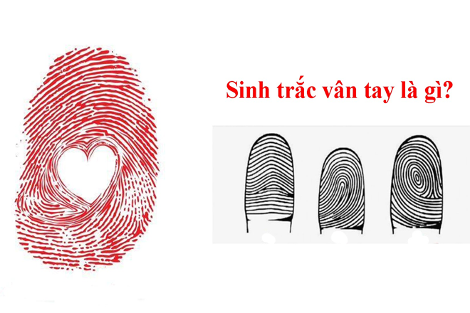 TÌM HIỂU TÍNH CÁCH CỦA CON QUA SINH TRẮC HỌC DẤU VÂN TAY