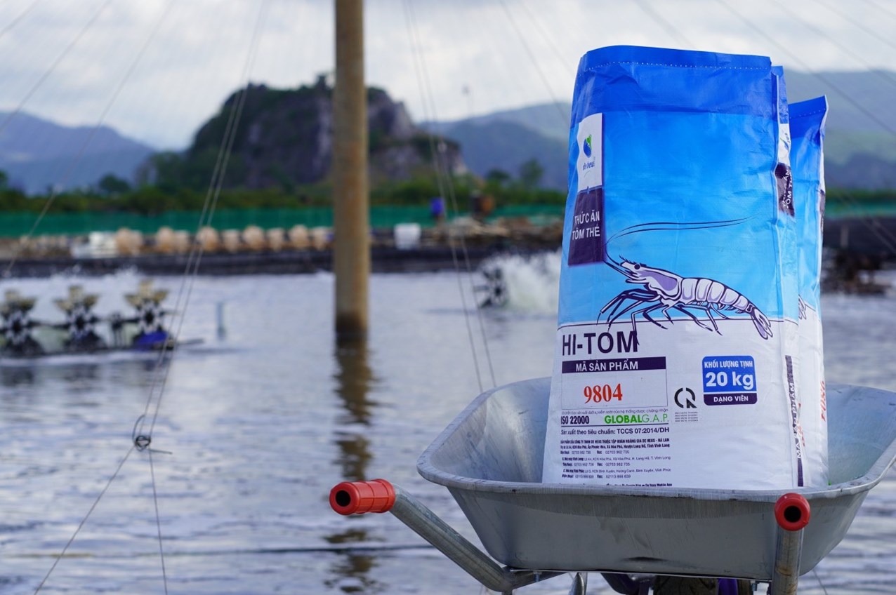 Quy Trình Và Kỹ Thuật Nuôi Tôm Thẻ Chân Trắng (Lipopenaeus vannamei) Mùa Đông Đạt Hiệu Quả Kinh Tế Cao